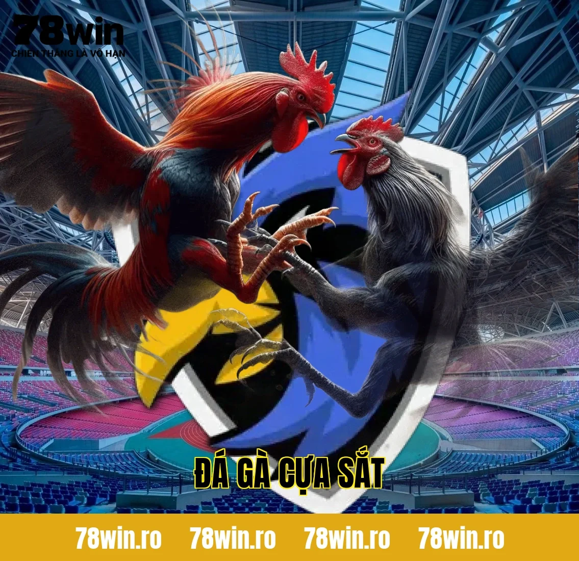 Đá Gà Cựa Sắt – Cuộc Chiến Căng Não Giữa Những Chiến Kê